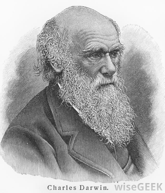 charles darwin and evolution